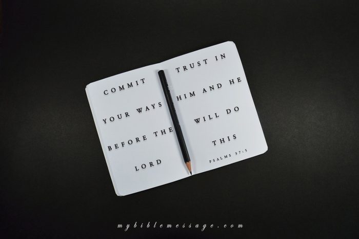 Commit, Trust, See